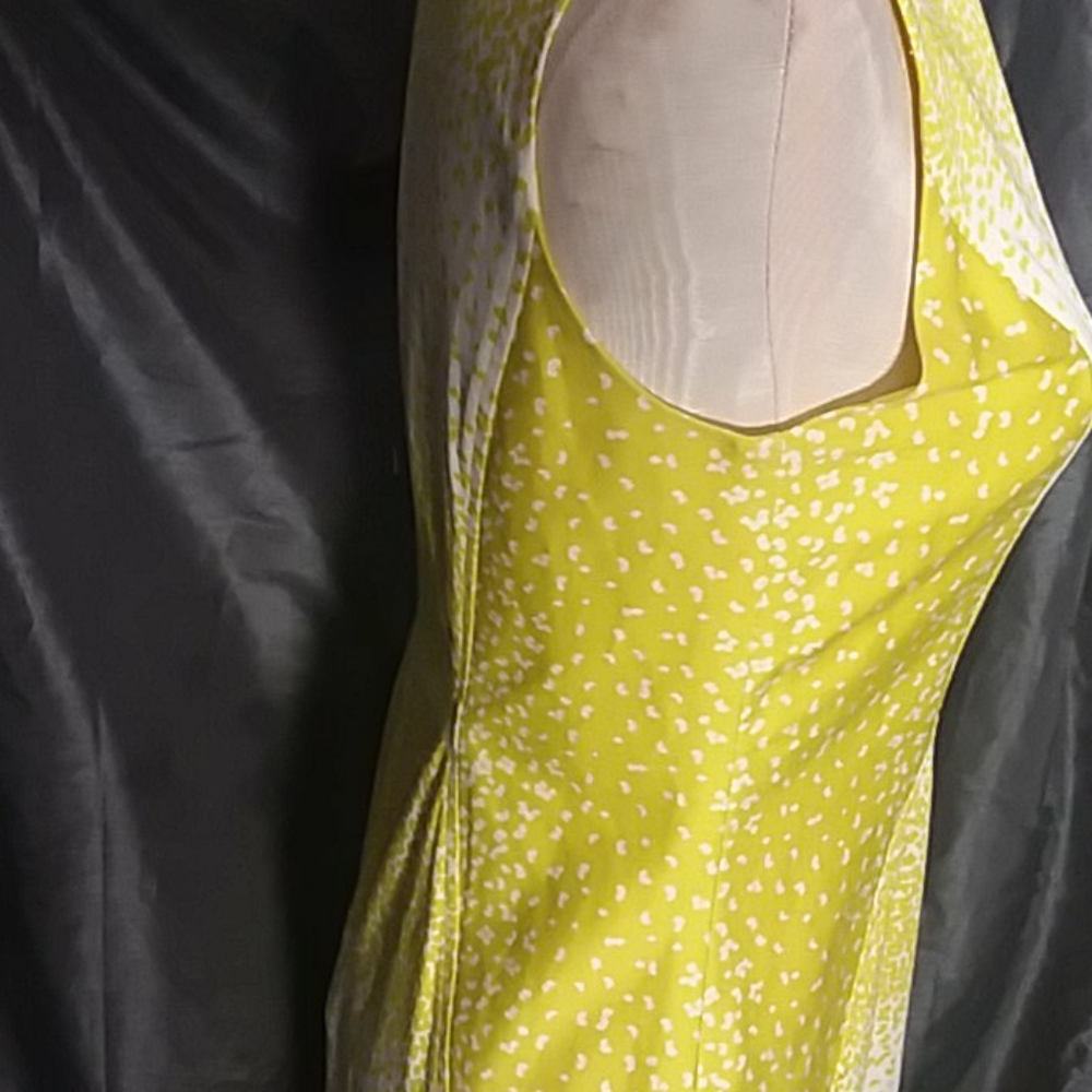 Dress - Picture 3 of 5